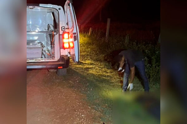 Um acidente de trânsito fatal tirou a vida de um motociclista na tarde desta quinta-feira (25) em São Félix do Xingu, no sul do Pará. A vítima foi identificada como...