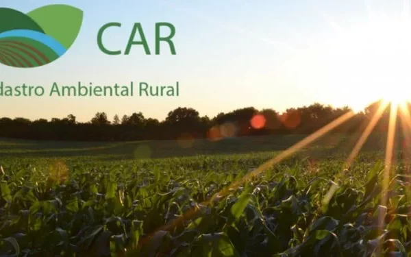Cadastro Ambiental Rural (CAR): por que ele é a chave para o futuro da Amazônia e para enfrentar as mudanças climáticas