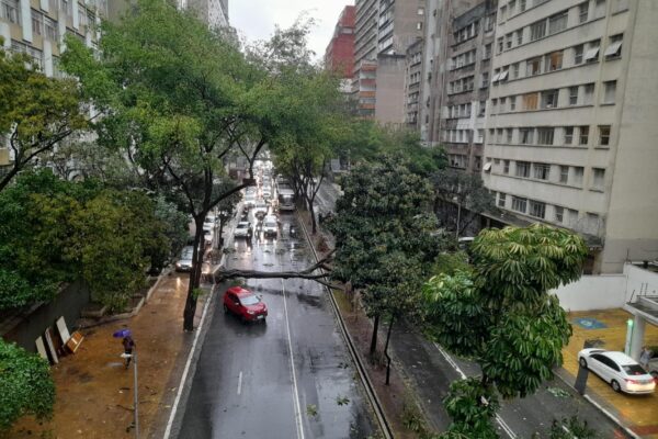 1ª tempestade da primavera deixa 139 árvores caídas, 500 mil imóveis sem luz em SPA forte chuva acompanhada de rajadas de vento...