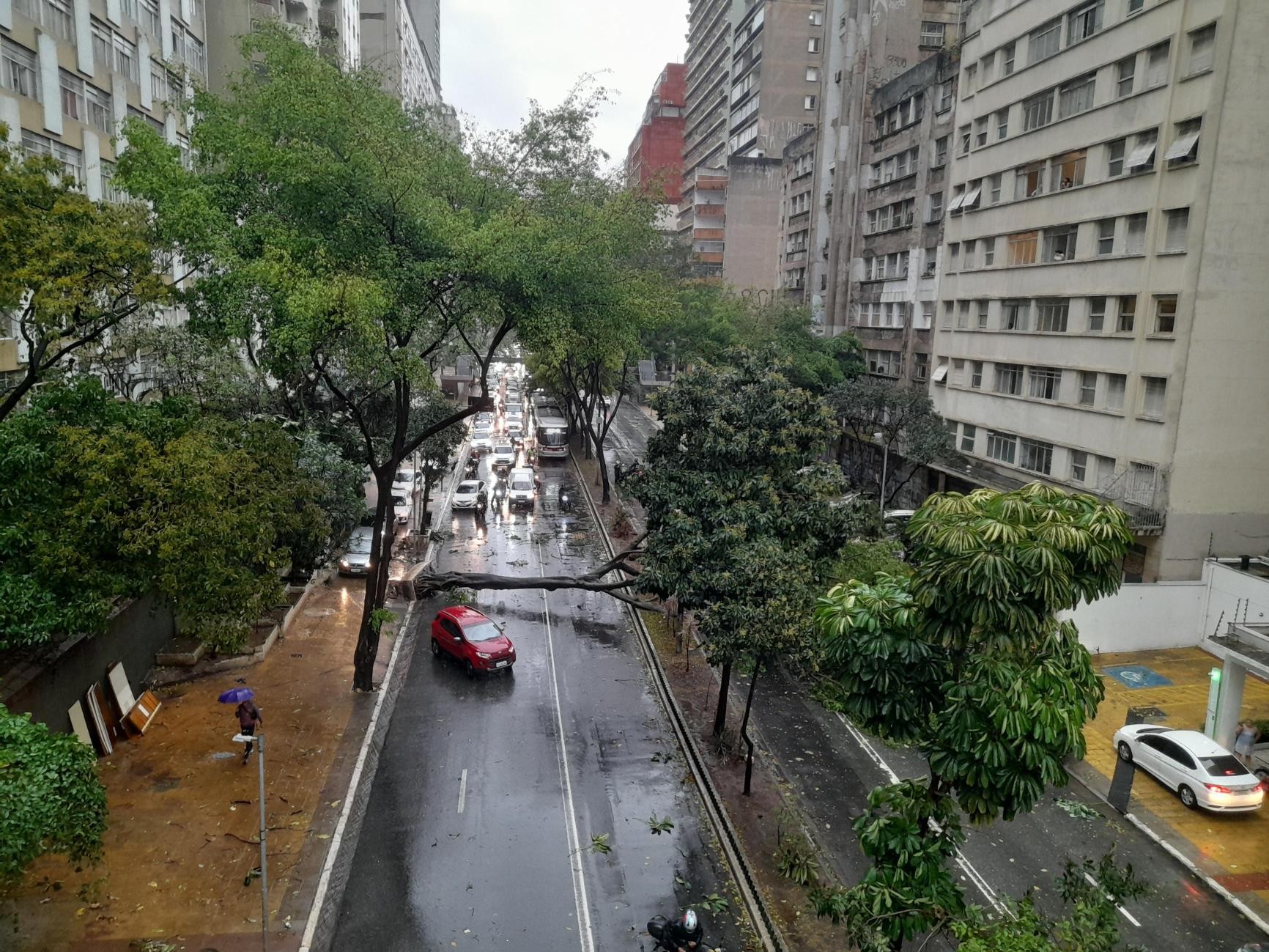 1ª tempestade da primavera deixa 139 árvores caídas, 500 mil imóveis sem luz em SPA forte chuva acompanhada de rajadas de vento...