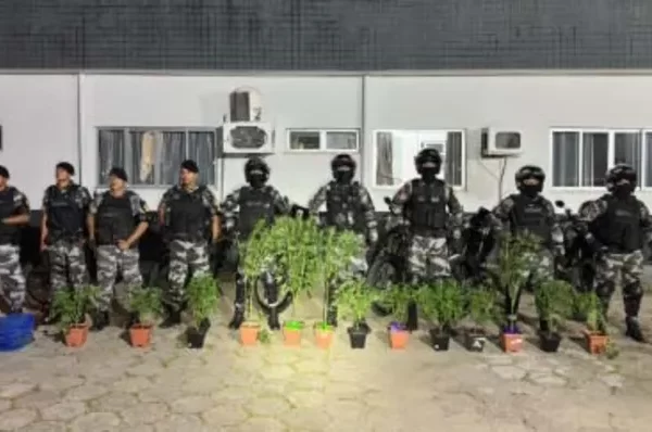 Cheiro de maconha leva polícia a prender homem em Ananindeua