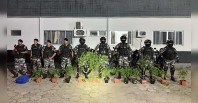 Cheiro de maconha leva polícia a prender homem em Ananindeua