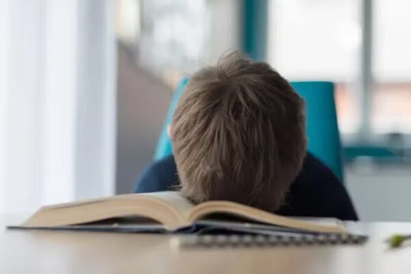 Um fazendeiro tem três tipos de animais em sua fazenda. Seus animais são todos ovelhas, exceto três. Todos cabras, exceto quatro...