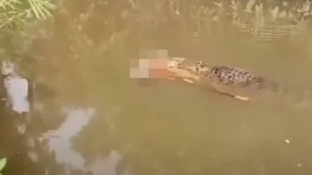 Um crocodilo de grande porte foi visto arrastando o corpo de uma mulher desaparecida nas águas de um rio no leste da Índia, em...