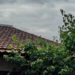 Uma fatalidade chamou a atenção dos moradores do bairro da Betânia, em Castanhal, na noite da última sexta-feira (24). Um idoso de...