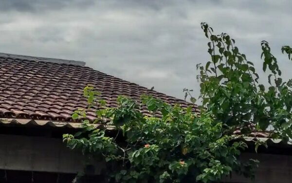 Uma fatalidade chamou a atenção dos moradores do bairro da Betânia, em Castanhal, na noite da última sexta-feira (24). Um idoso de...