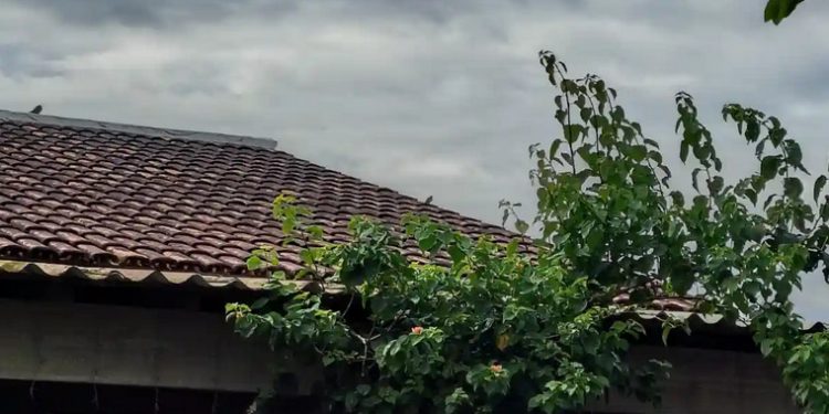 Uma fatalidade chamou a atenção dos moradores do bairro da Betânia, em Castanhal, na noite da última sexta-feira (24). Um idoso de...