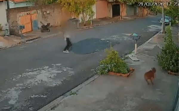 Câmeras de segurança registraram o momento em que o cachorro escapou e, segundos depois, o carrinho com a criança...