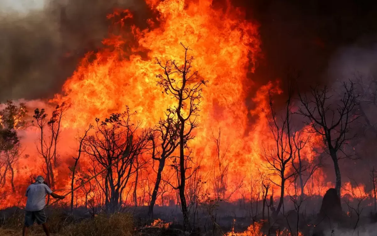 🔥Fogo: Força Nacional vai atuar no combate e nas investigações de incêndios florestais no Pará O Ministério da Justiça e Segurança Pública